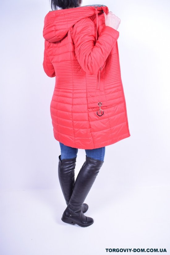 Куртка женская из плащёвки демисезонная (color D3) HaiLuoZi Размер в наличии : 42 арт.18-19