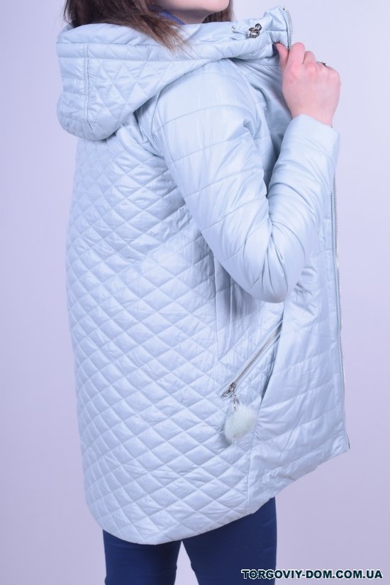 Куртка женская демисезонная болоньевая (color 078-1) Sirty Размер в наличии : 42 арт.509