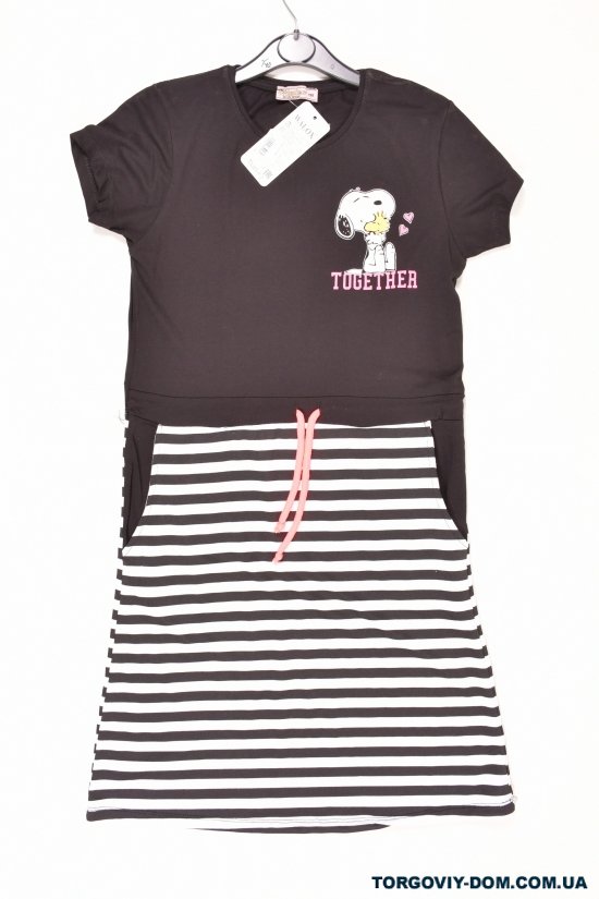 Платье для девочки трикотажное (цв.черный/белый)  WALEX Рост в наличии : 164, 170 арт.5016