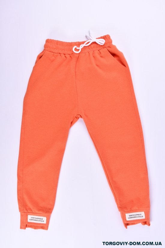 Штаны спортивные для девочки (цв.оранжевый) трикотажные KUYADAN Рост в наличии : 116, 122, 128, 134, 140 арт.566