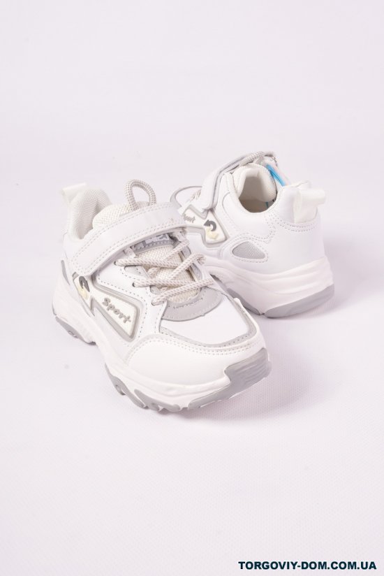 Кросівки для хлопчика YTOP Розмір в наявності : 34 арт.LG3052-1