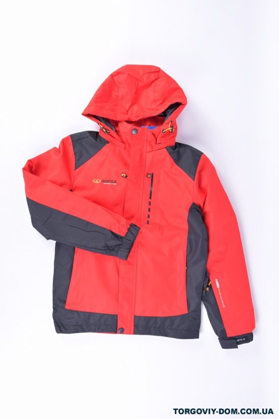 Куртка для мальчика из плащевки (color 1) демисезонная AUOSA Рост в наличии : 134 арт.BA21057
