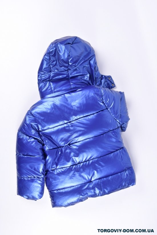 Куртка для дівчинки (кол. Синій) з плащової тканини зимова Зріст в наявності : 104 арт.2021-53