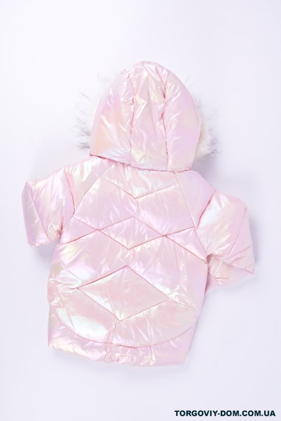 Куртка для девочки (цв.розовый) из плащевки зимняя Рост в наличии : 104 арт.2021-2