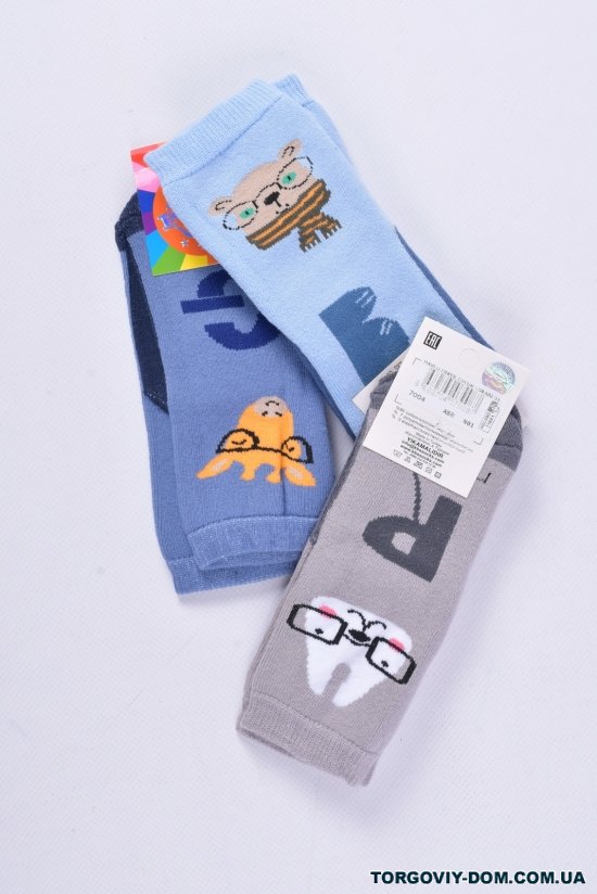 Шкарпетки махрові для хлопчика (1) KBS розмір 16-18 арт.3-20206