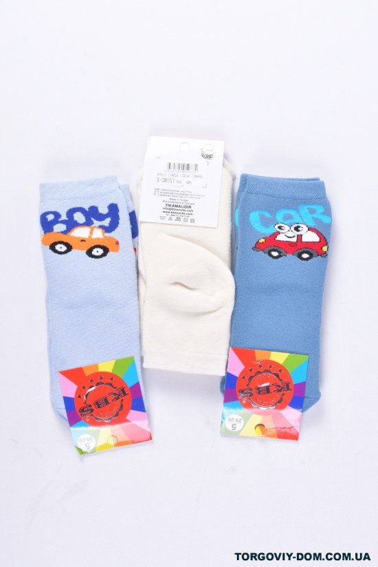 Шкарпетки махрові для хлопчика (5) KBS розмір 24-26 арт.3-20157