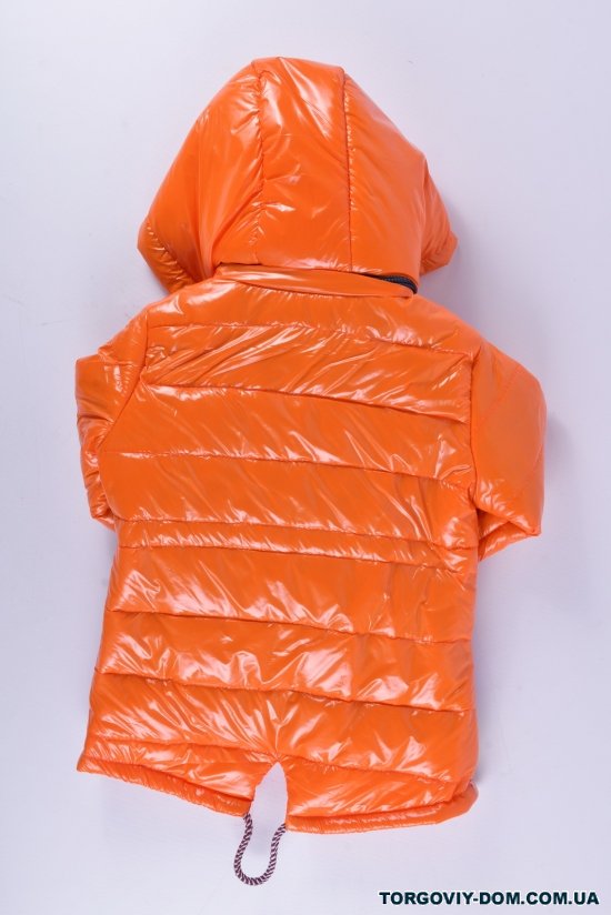 Куртка для девочки демисезонная (цв.оранжевый) Рост в наличии : 92, 98 арт.FASHION