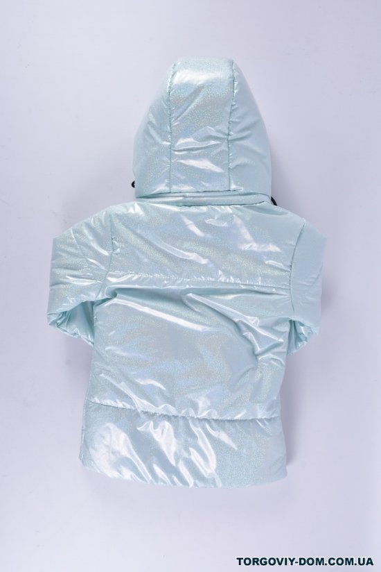 Куртка демісезонна для дівчинки (кол. блакитний) "PB" Об'єм в наявності : 110 арт.023