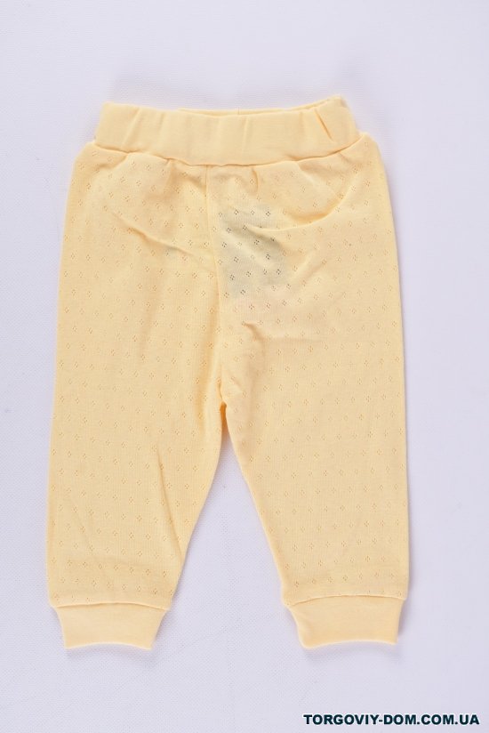 Штанишки детские трикотажные (цв.жёлтый) "Vitmo Baby" Рост в наличии : 68 арт.18915