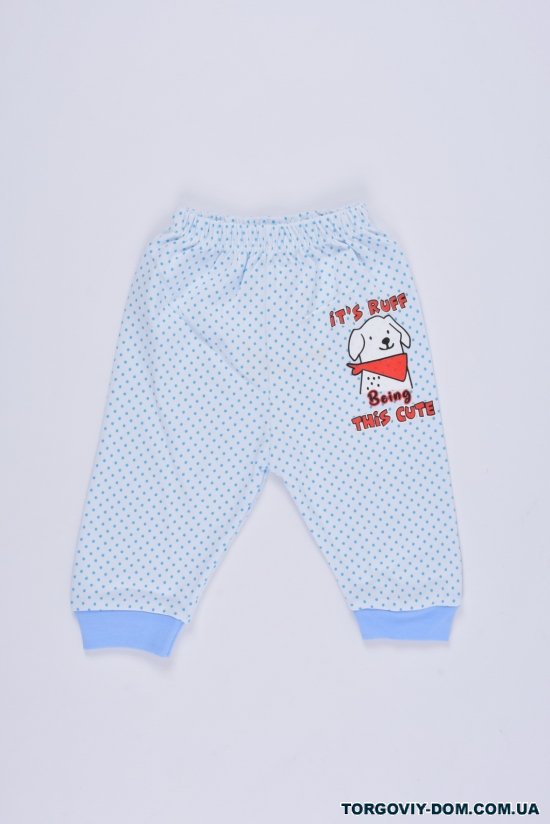 Штанці для хлопчика трикотажні (кол. білий/блакитний) "VITMO BABY" Розмір в наявності : 56 арт.23285