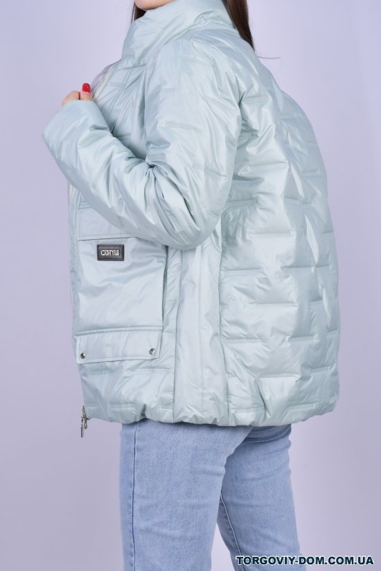 Куртка жіноча з плащівки демісезонна (color C140) HaiLuoZi Розміри в наявності : 42, 46 арт.BM7021