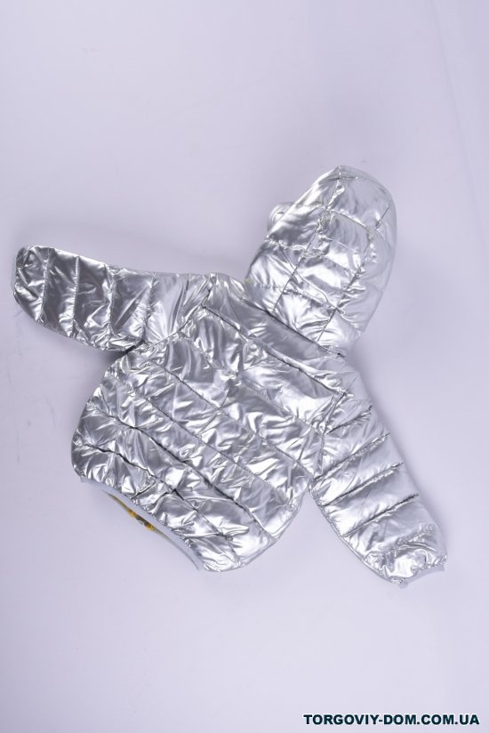Куртка демисезонная для девочки (цв.серебро) болоневая Рост в наличии : 74, 80, 86, 92, 98 арт.BOYI