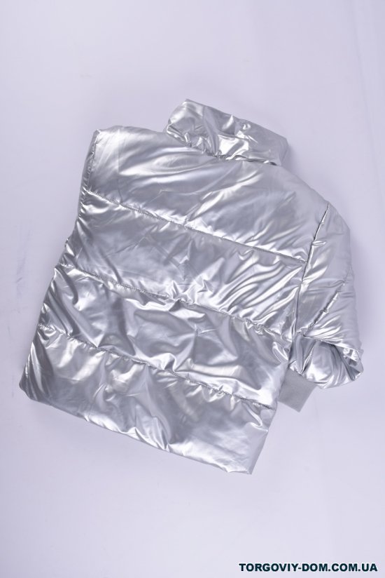 Куртка демисезонная (цв.серебро) для девочки болоневая Рост в наличии : 116, 122, 128, 134, 140 арт.03
