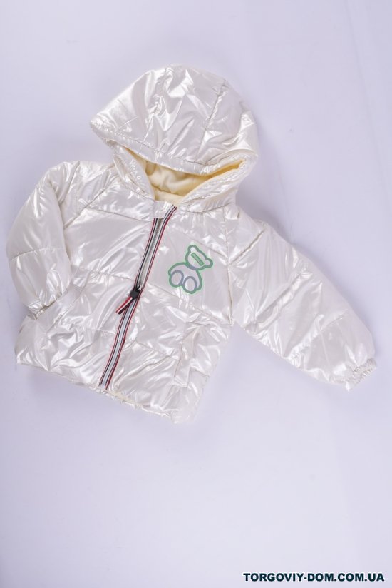 Куртка демісезонна дитяча (кол. білий) болонева Зріст в наявності : 86, 92, 98, 104, 110, 116 арт.DRTBEAR