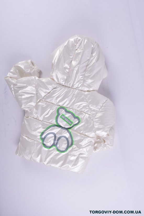 Куртка демисезонная детская (цв.белый) болоневая Рост в наличии : 86, 92, 98, 104, 110, 116 арт.DRTBEAR