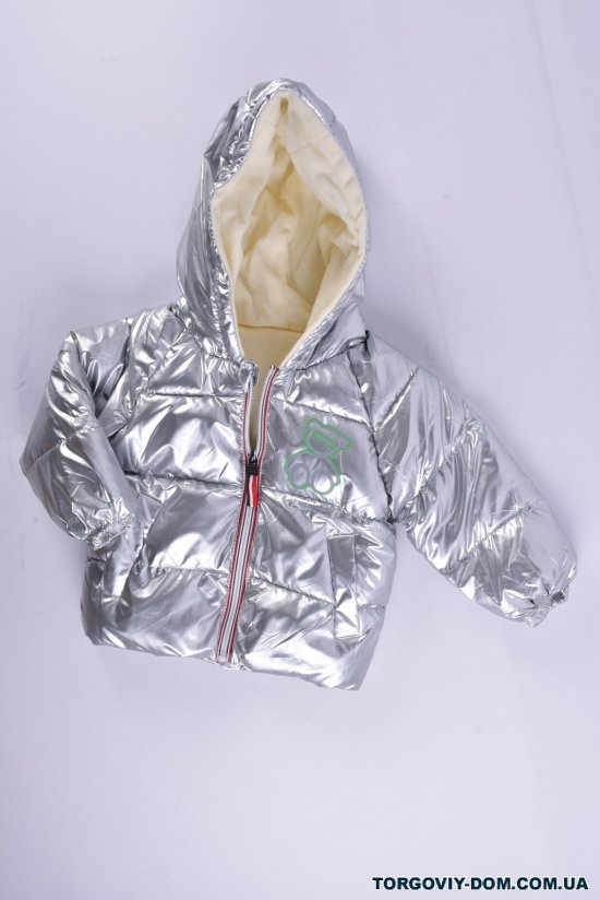 Куртка демисезонная детская (цв.серебро) болоневая Рост в наличии : 86, 92, 98, 104, 110, 116 арт.DRTBEAR