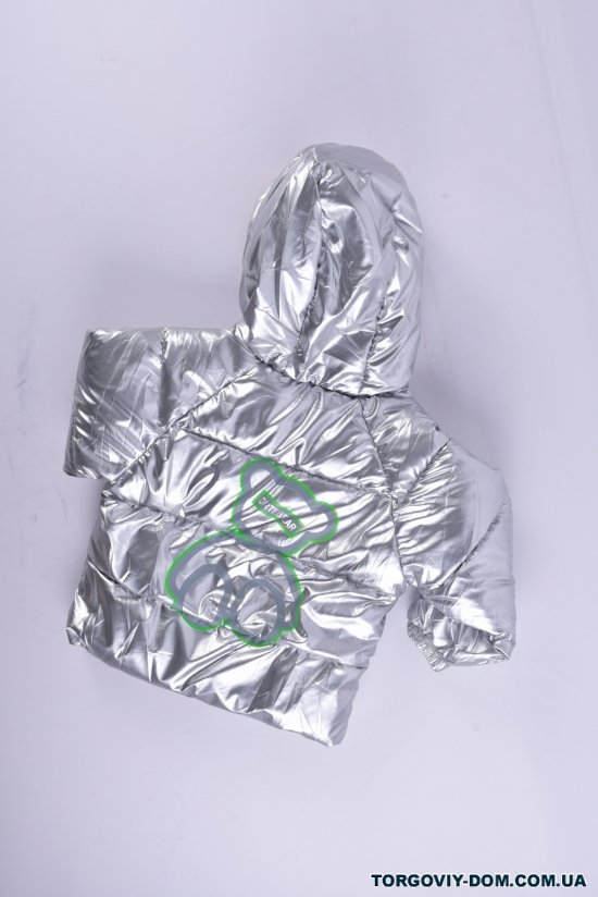 Куртка демісезонна дитяча (кол. срібло) болонева Зріст в наявності : 86, 92, 98, 104, 110, 116 арт.DRTBEAR