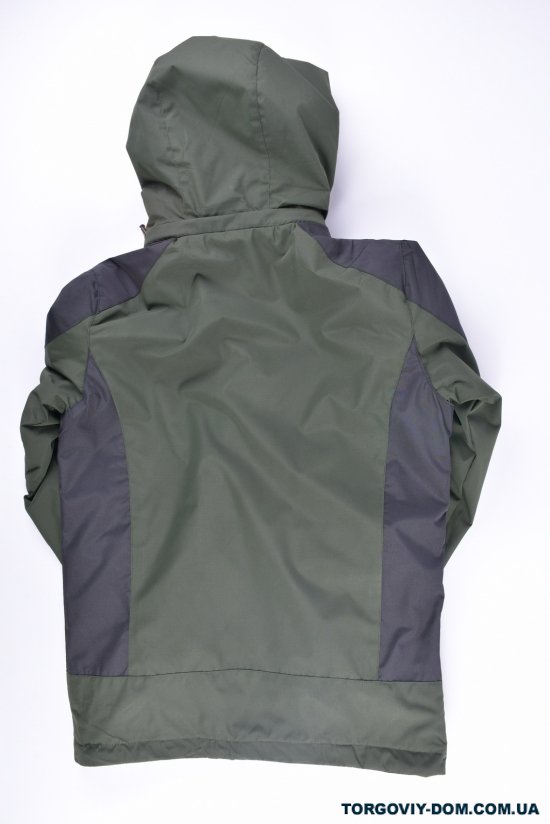 Куртка для хлопчика з плащової тканини (colour 11) демісезонна "AUDSA" Зріст в наявності : 134 арт.BA21132