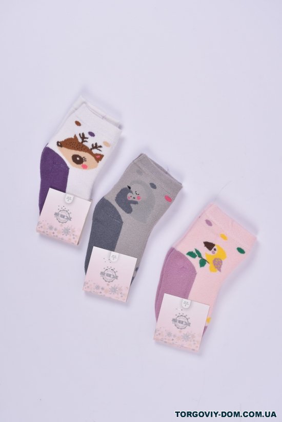 Шкарпетки для дівчинки махрові "KBS" розмір 12-14 арт.3-20253