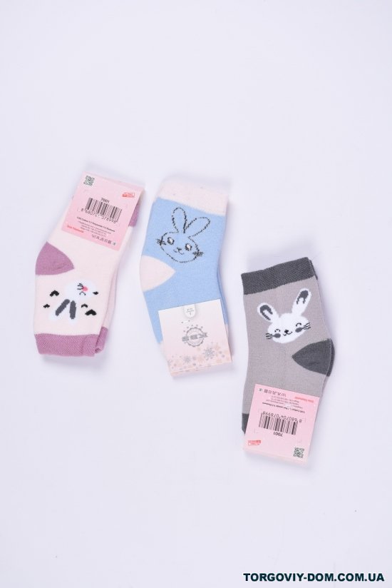 Носки для девочки махровые "KBS" размер 12-14 (Cotton 90%,Elastane 3%,Polyamide 7%) арт.3-20256