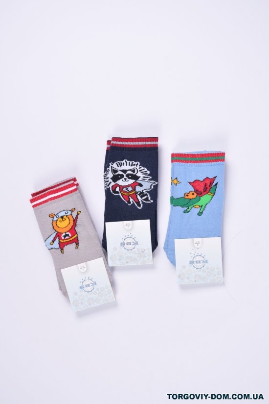Шкарпетки махрові для хлопчика (0) KBS розмір 12-14 арт.3-20270