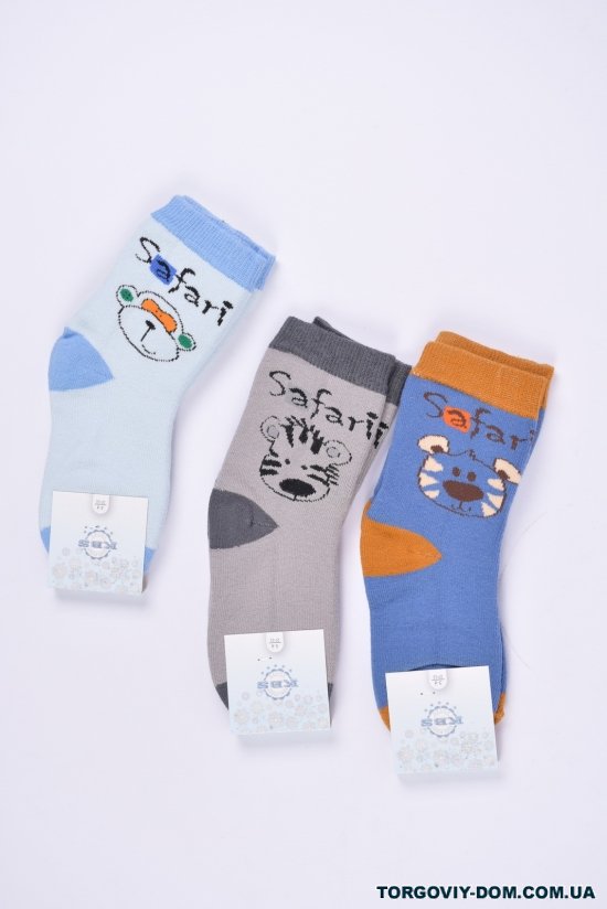 Шкарпетки для хлопчика (3-4) KBS розмір 20-22 арт.3-20254