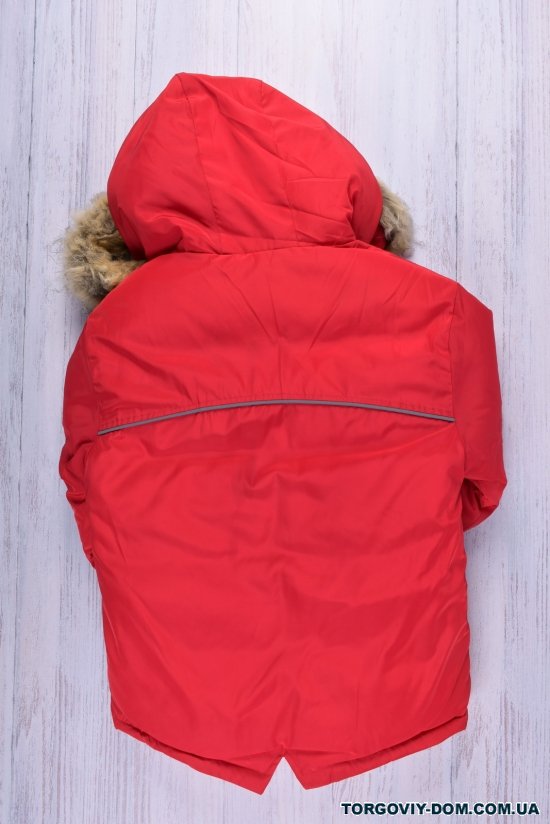 Куртка для хлопчика (кол. червоний) зимова з плащової тканини (капюшон натуральне хутро) Зріст в наявності : 122 арт.21-29