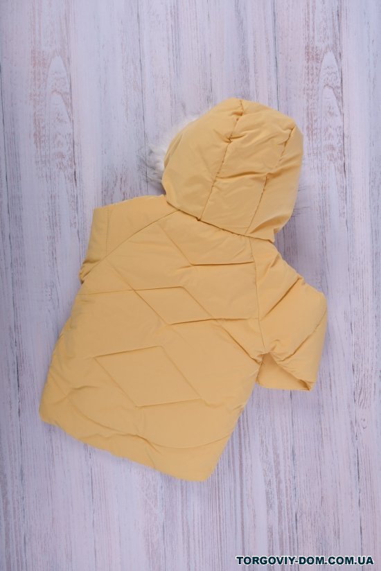Куртка для дівчинки (цв. гірчичний) із плащової тканини зимова Зріст в наявності : 104 арт.21-32