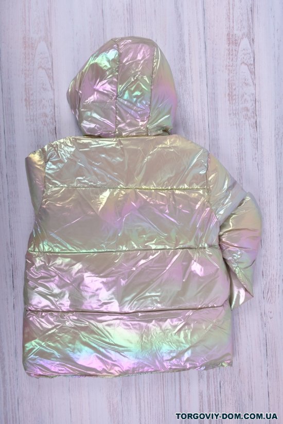 Куртка для девочки (цв.серебро) болоневая зимняя Рост в наличии : 170, 176 арт.2022-4