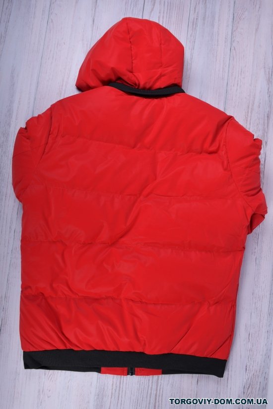 Куртка-бомбер мужская зимняя (цв.красный) болоньевая Размеры в наличии : 44, 46, 50 арт.1181