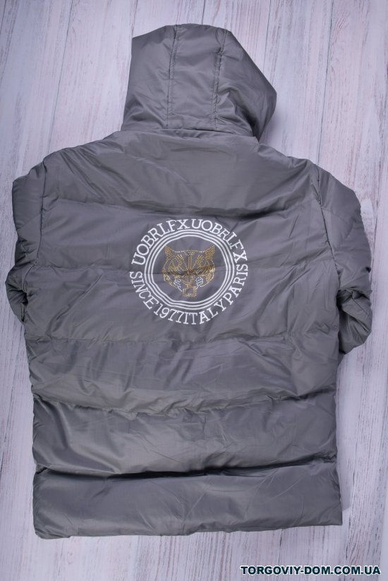Куртка мужская зимняя (цв.серый) болоньевая Размеры в наличии : 46, 50 арт.1136