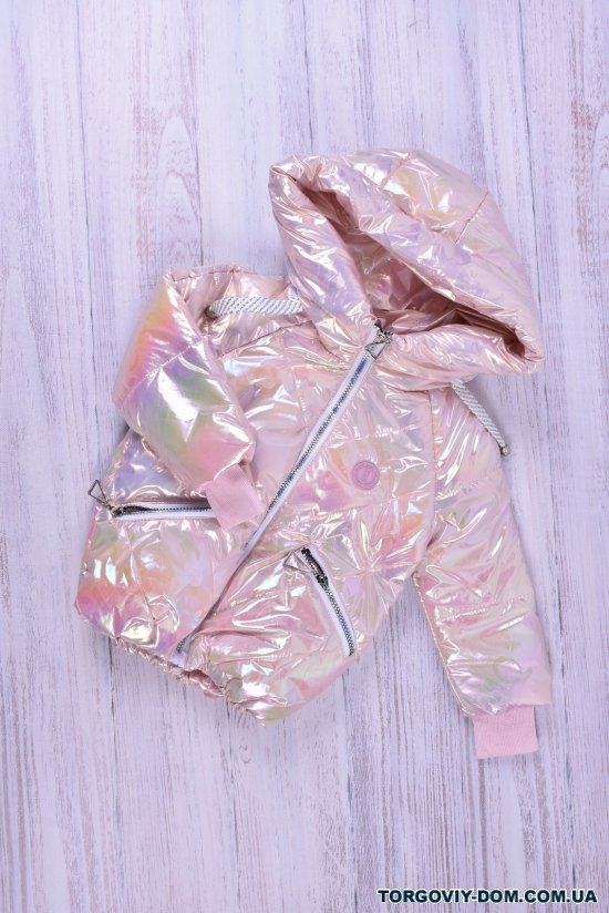Куртка для дівчинки (кол. рожевий) демісезонна болонева Зріст в наявності : 98 арт.Радуга