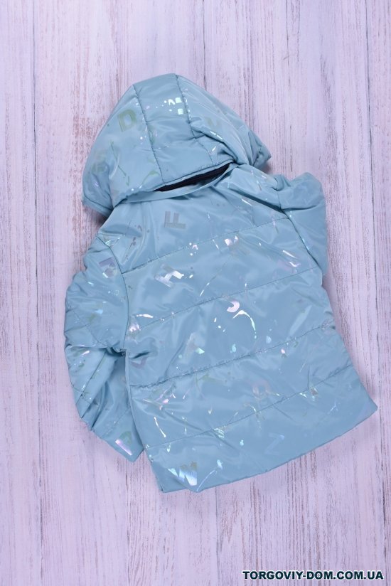 Куртка для дівчинки (кол. блакитний) демісезонна болонева "ELEGANCE" Зріст в наявності : 98 арт.47