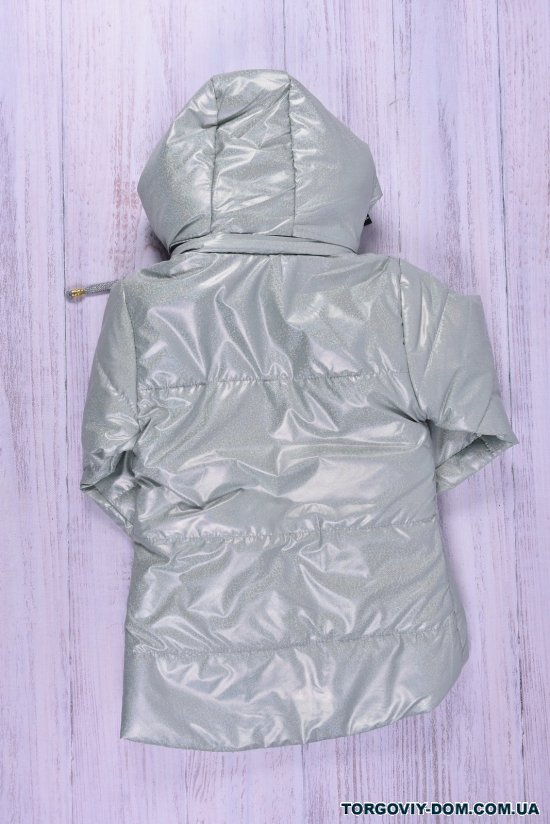 Куртка для дівчинки (кол. м'яти) демісезонна болонева Зріст в наявності : 92, 98, 104, 116 арт.686