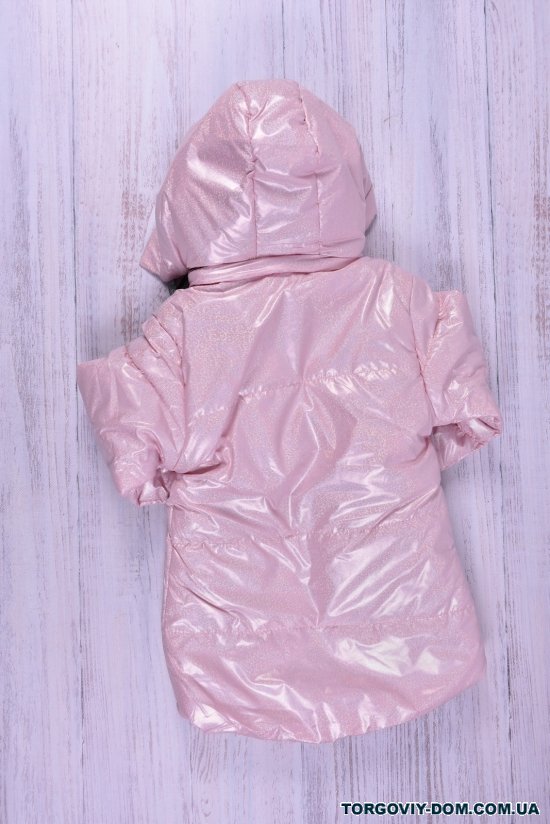 Куртка для девочки (цв.розовый) демисезонная болоневая Рост в наличии : 92, 98, 104, 110, 116 арт.686