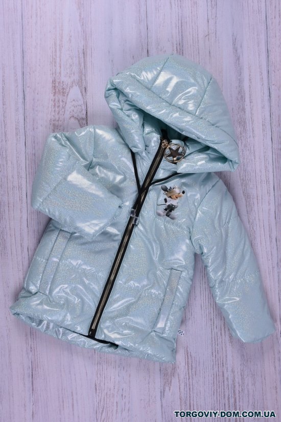 Куртка для дівчинки (кол. бірюзовий) демісезонна болонева Об'єм в наявності : 80 арт.030
