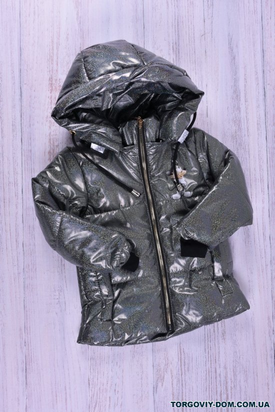 Куртка для дівчинки (колір сірий) демісезонна болонева Зріст в наявності : 80, 86 арт.030