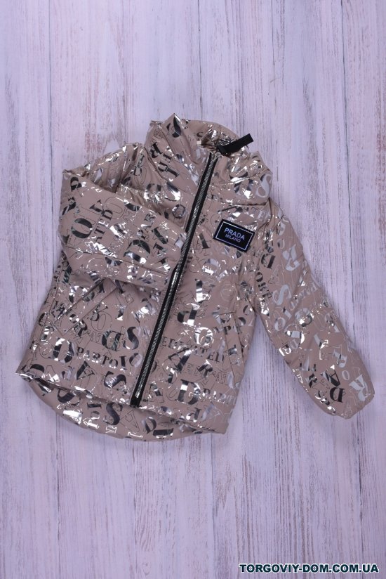 Куртка для девочки (цв.капучино) демисезонная болоневая  Рост в наличии : 98 арт.41