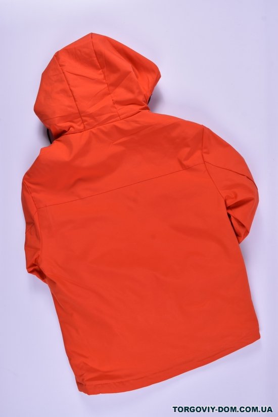 Куртка для хлопчика (кол.15) з плащової тканини демісезонна "PANDA" Зріст в наявності : 164 арт.L7703