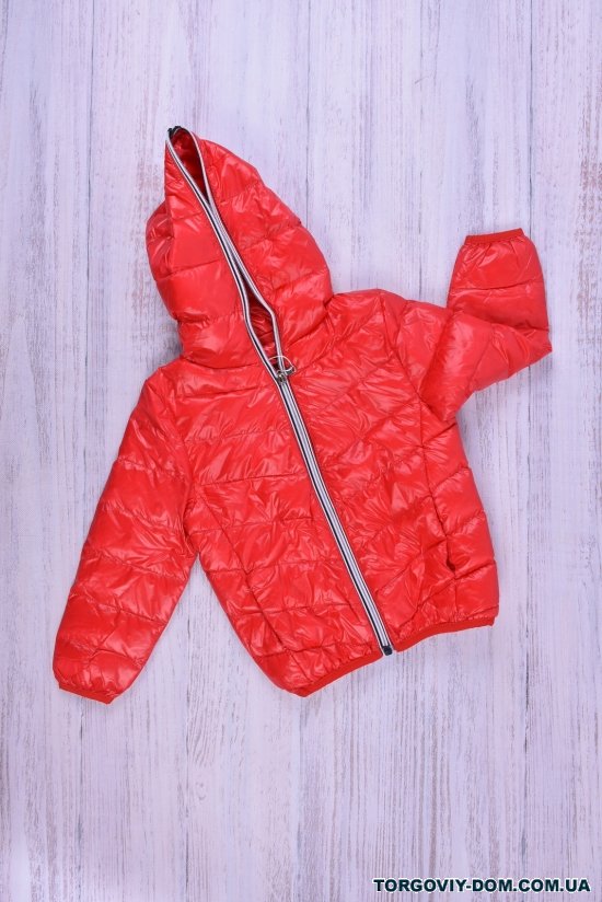 Куртка для дівчинки (кол. червоний) болонева Зріст в наявності : 92, 98, 104, 110, 116 арт.013
