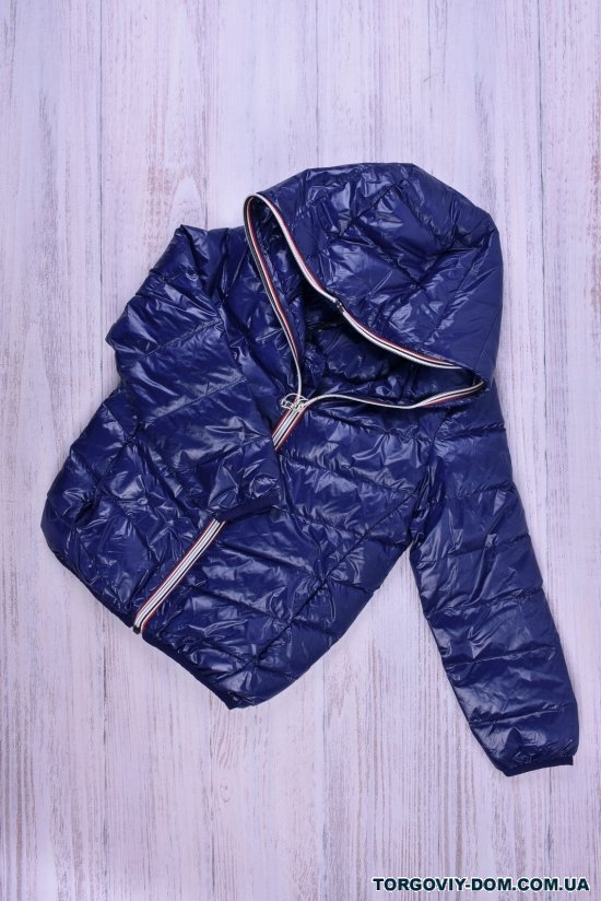 Куртка для девочки (цв.т.синий) болоневая Рост в наличии : 92, 98, 104, 110, 116 арт.013