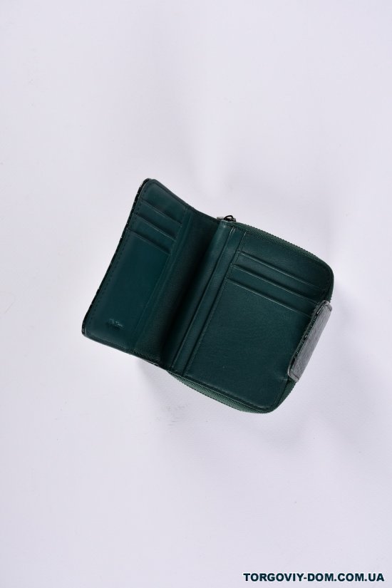 Гаманець жіночий шкіряний лаковий (color.green) розмір 11.5/9 см. Alfa Ricco арт.AR6123A/WE