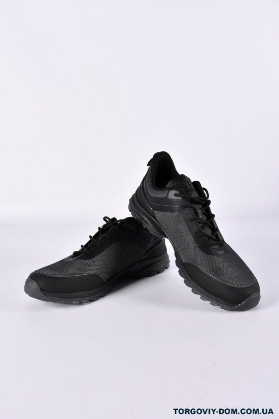 Кросівки чоловічі "BAAS" Розміри в наявності : 43, 44, 45 арт.M7413-2C