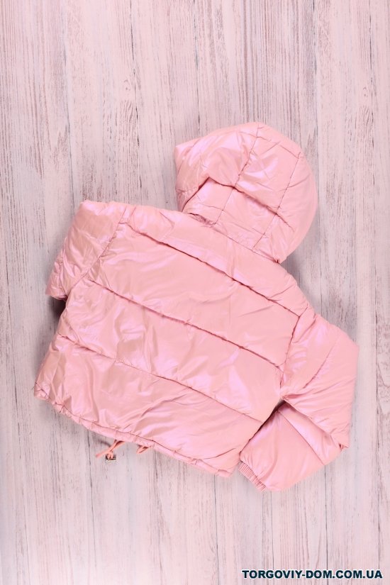 Куртка для дівчинки демісезонна (цв. рожевий) з плащової тканини. Зріст в наявності : 146, 152 арт.M23117