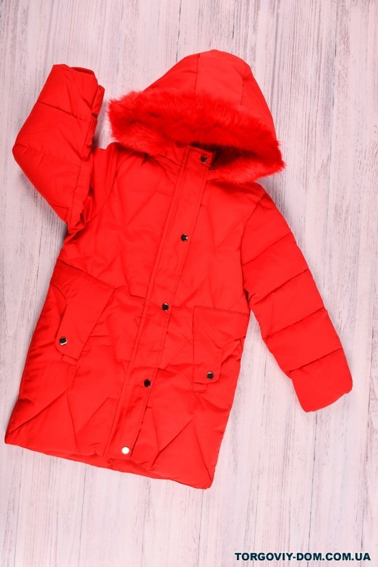 Куртка для девочки (цв.красный) из плащевки зимняя Рост в наличии : 134, 146, 152 арт.21-37