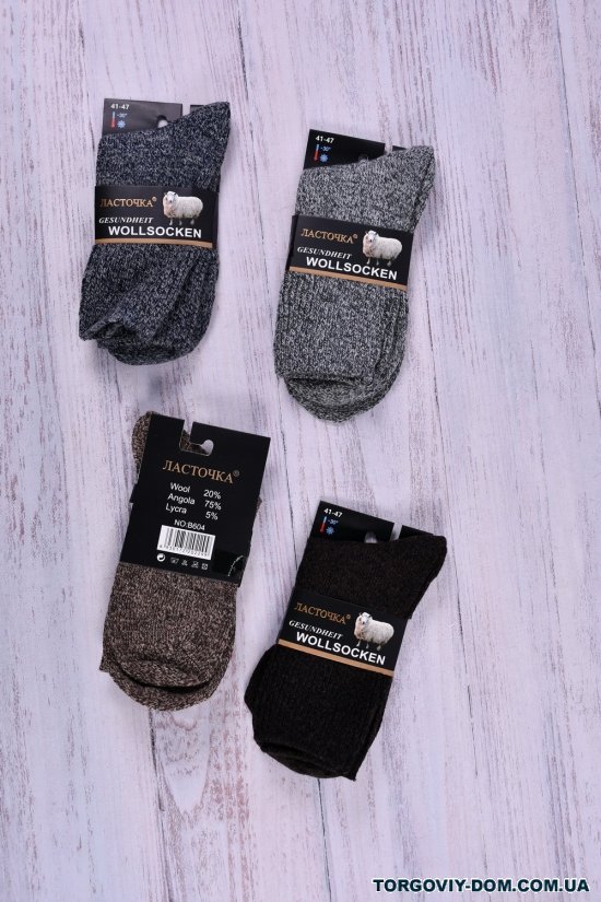 Носки мужские "Ласточка" размер 41-47 (wool 20%, Angora 75%, lycra 5%) арт.B604-1