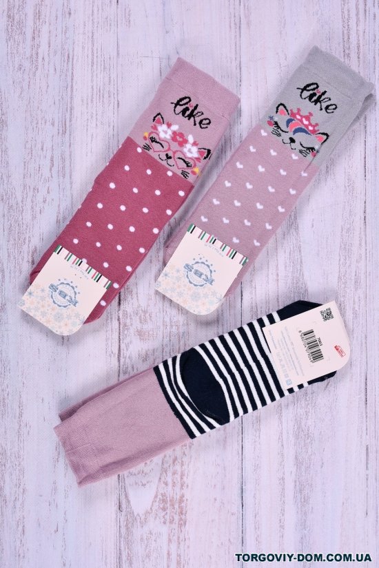 Носки для девочки (9-10) KBS размер 32-34 махровые арт.3-20279