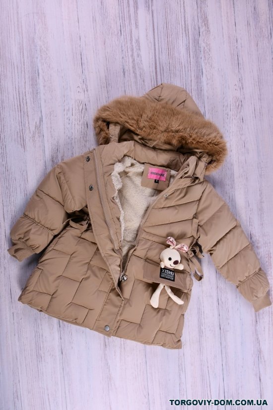 Куртка для дівчинки (кол. капучино) болонева зимова Зріст в наявності : 128, 152 арт.2186