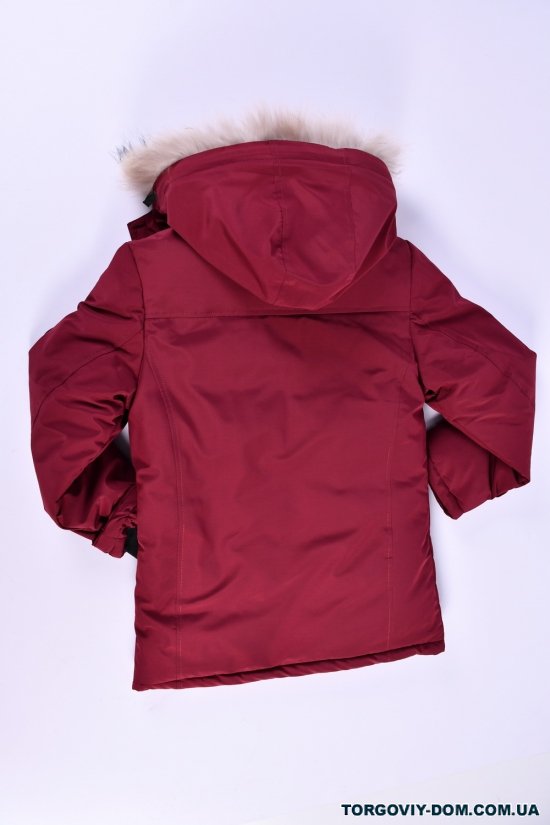 Куртка для мальчика (цв.бордовый) зимняя (100% POLYESTER) Рост в наличии : 140, 146, 152, 158, 164 арт.2308