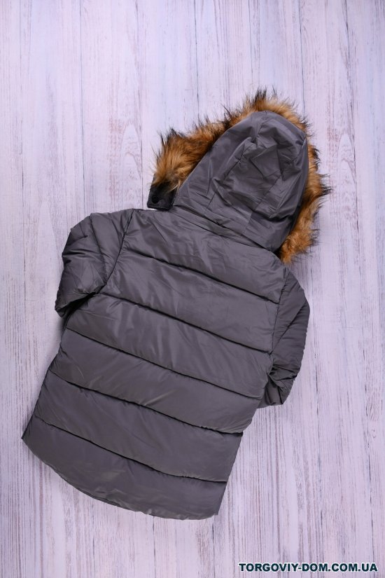 Куртка для мальчика (цв.серый) болоньевая зимняя Рост в наличии : 128, 140, 152 арт.115